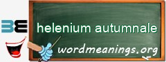 WordMeaning blackboard for helenium autumnale